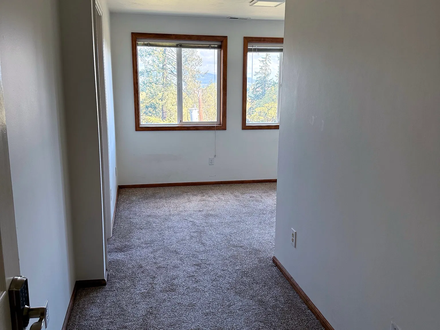 1 bed, 186 sqft, $750 — Photo 2