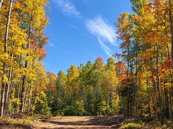 Parcel 4 County Road A, Solon Springs, WI 54873