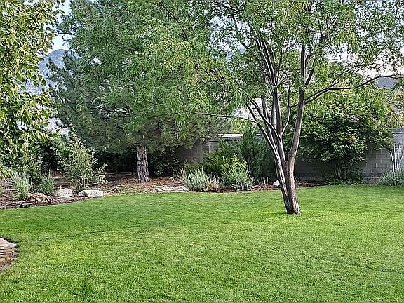Mature wooded backyard