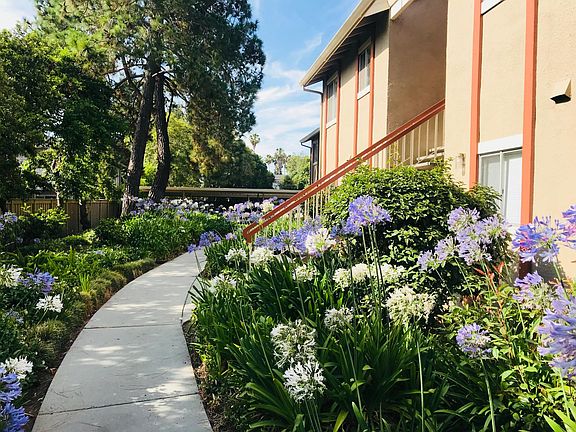 3rd image of 1121 Miramar Way APT 17