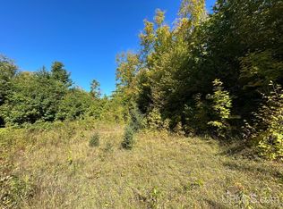 40 Acres Camp Rd, Shingleton, MI 49884