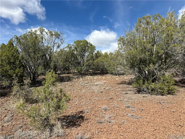 40 N Diamond M Ranch Rd, Kingman, AZ 86401