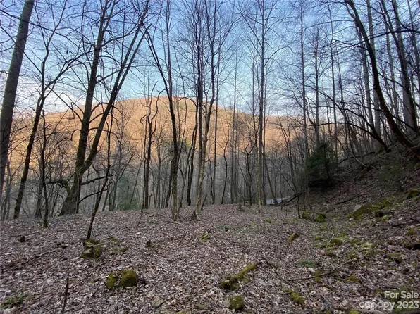 0 Alarka Rd, Bryson City, NC 28713