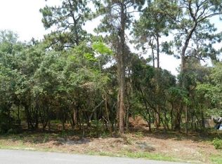 17139 Drawdy Ct, Orlando, FL 32820
