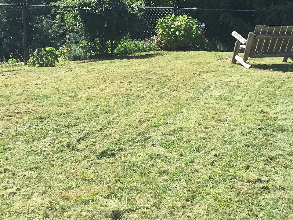 large private rear lawned yard