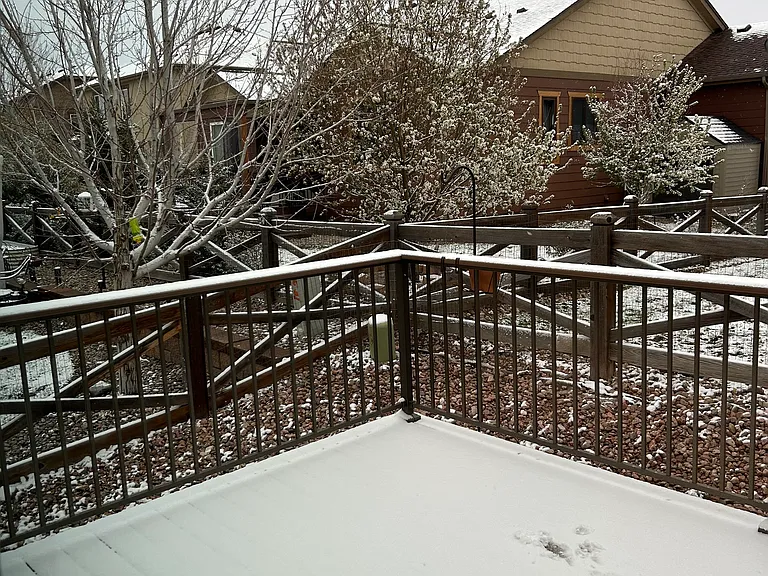 7115 Mountain Spruce Dr — Photo 31