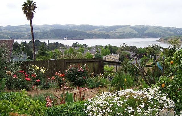 View from yard