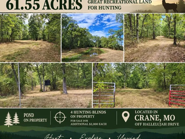 Tbd Hallelujah Drive, Crane, MO 65633