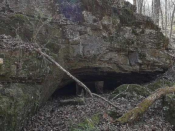 4th image of 11274 Allen Dr