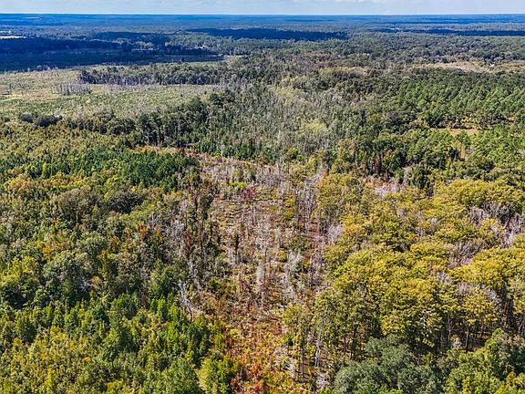 4th image of LOT 160 Thomasville Rd