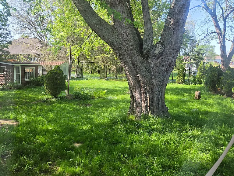 522 Woodlawn Rd — Photo 13