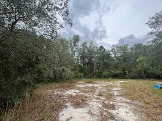 4th image of 4166 NE Hwy 353