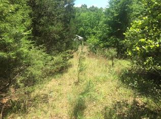 1179 Lofton Rd, Calico Rock, AR 72519