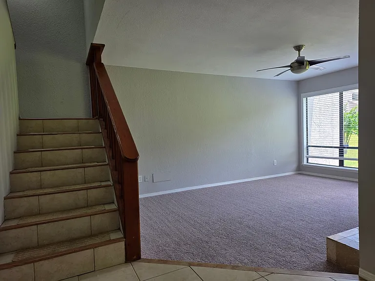 162 Olive Tree Cir — Photo 16