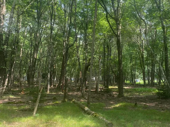 0 Stony Hollow Cir, Bushkill, PA 18324