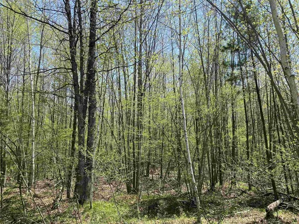 ON CHILI ROAD #Meteor 8263, Neillsville, WI 54456