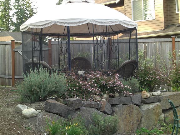 Back yard gazebo