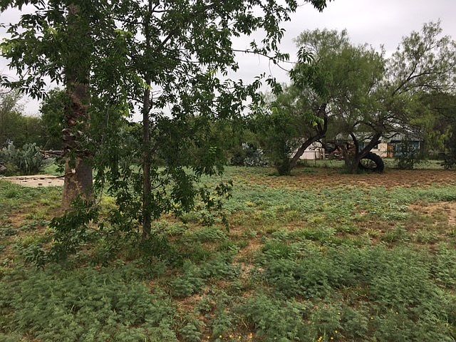 2nd image of 1602 N 5th Ave