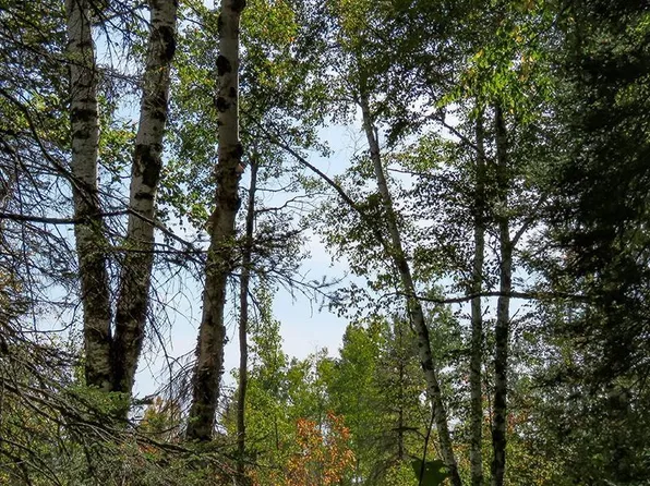 Hoaglund Dr, Tofte, MN 55615