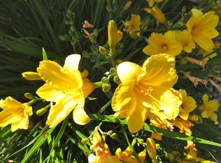 2407 N Stagecoach Dr, Post Falls, ID 83854