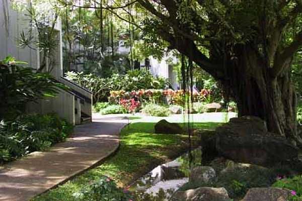 Waikomo Stream in the center of the complex