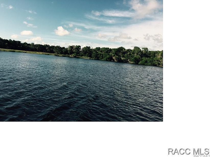 2nd image of 12627 The Homosassa Riv
