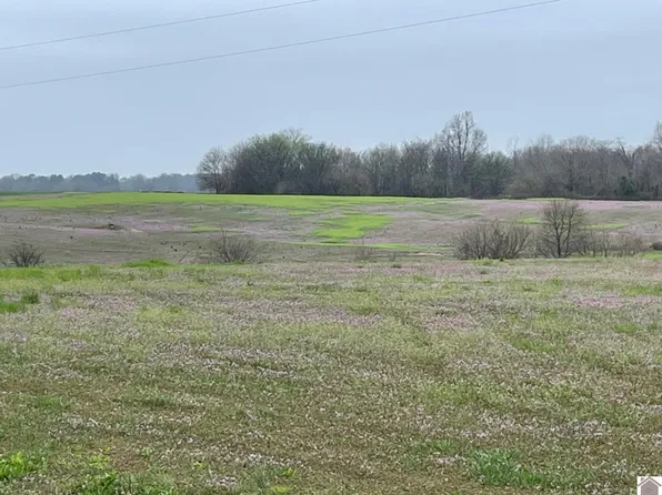 0 Meridian Rd, Hickory, KY 42051
