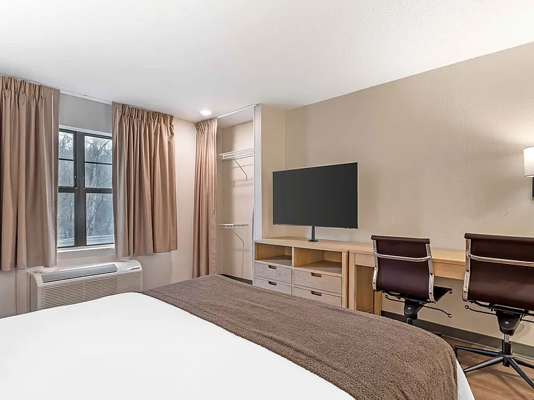 Studio Suite - 1 Queen Bed
