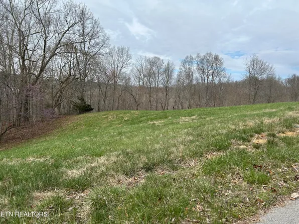 LOT-260B Marble Point Dr, New Tazewell, TN 37825