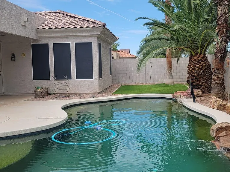 backyard and pool