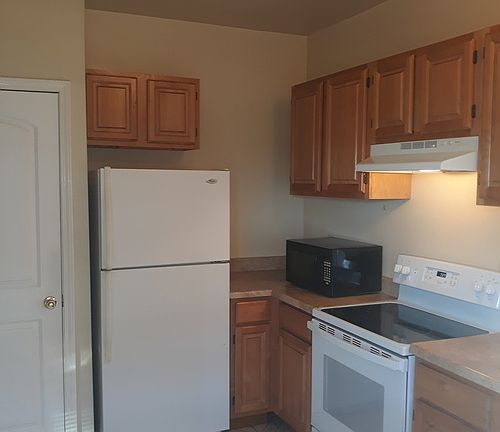 2nd image of 1301 Tricou St #1301