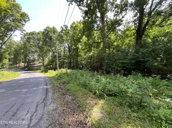 0 Scenic Lakeview Dr, Spring City, TN 37381