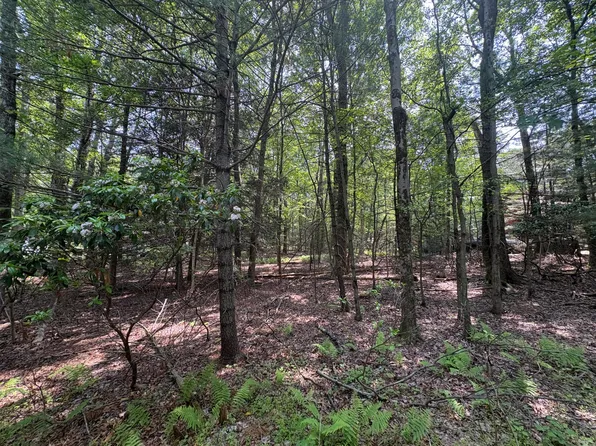 LOT 1009 Ash Ln, Kunkletown, PA 18058