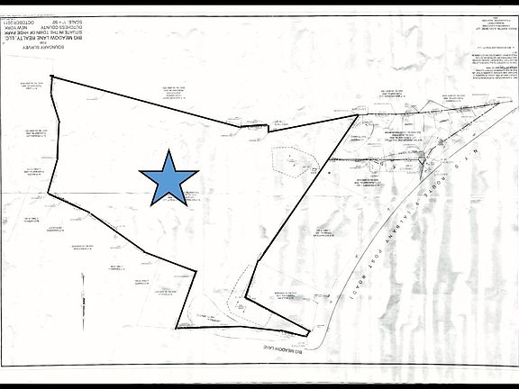 big%20meadow%20survey.jpg
