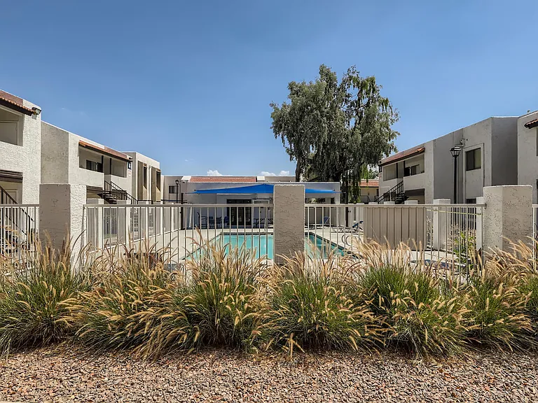 Ava Park — Photo 26