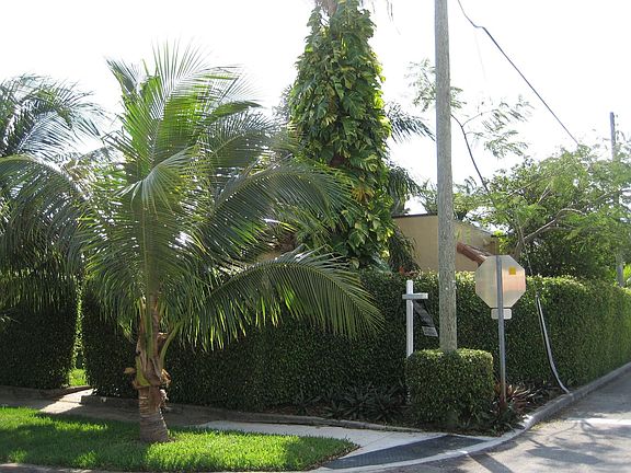 corner of Webster and Indepedence