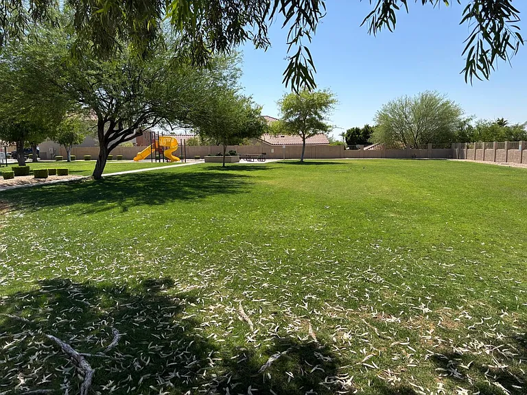 1722 W Amberwood Dr — Photo 23