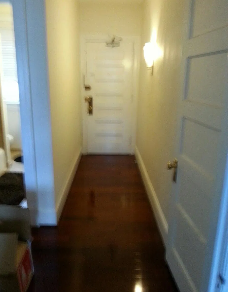 1 bed, 600 sqft, $2,500 — Photo 3