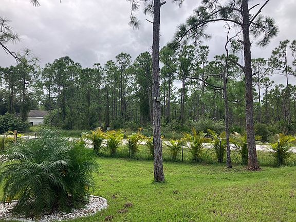 Photo Nov 05 2025, 11 41 19_11052025