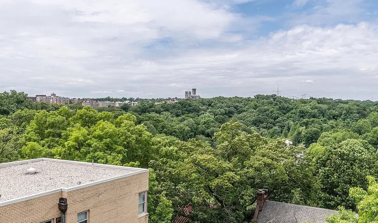 Studio, 429 sqft, $1,600 — Photo 4