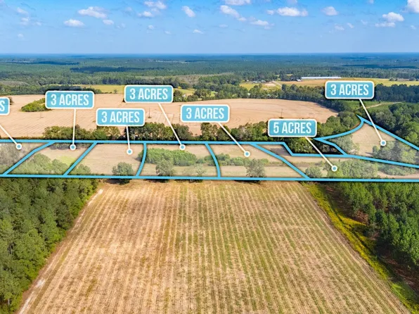 PARCEL Prescott Rd #D, Florala, AL 36442