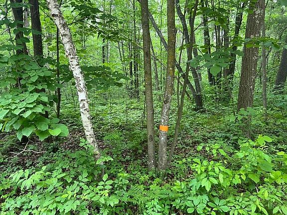 4th image of LOT 5 Wilderness Retreat