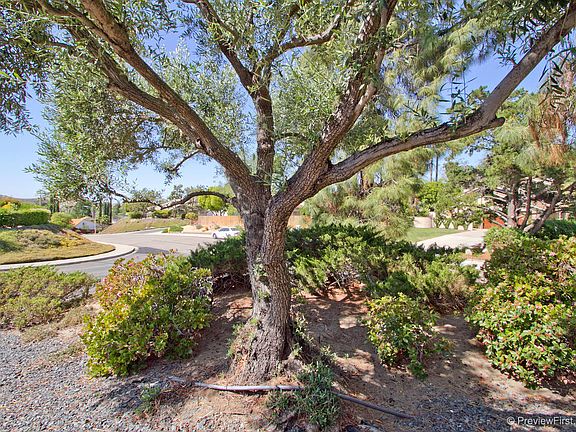 3rd image of 12477 Floresta Ct
