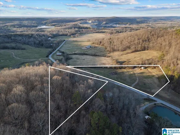 0 Rocky Hollow Rd #10, Blountsville, AL 35031