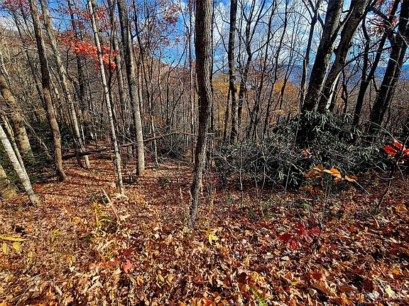 3rd image of 14 Great Aspen Way #125