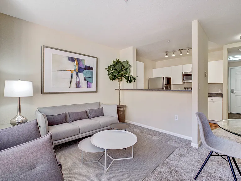 Rafael Town Center Apartments — Photo 9