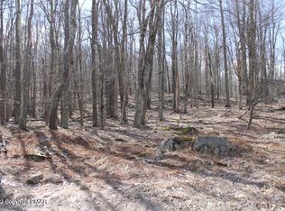 Fountain Dr, Newfoundland, PA 18445