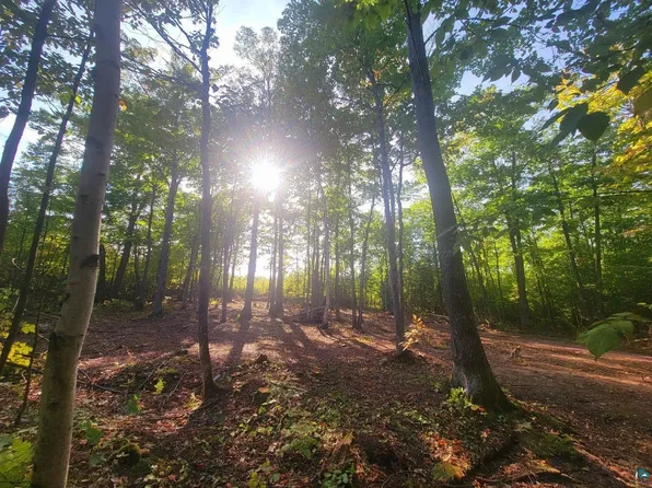 99 Peterson Hill Rd Lot 1-2352, Bayfield, WI 54814