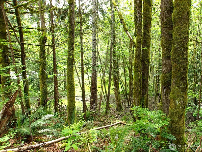 3rd image of 0 River Road