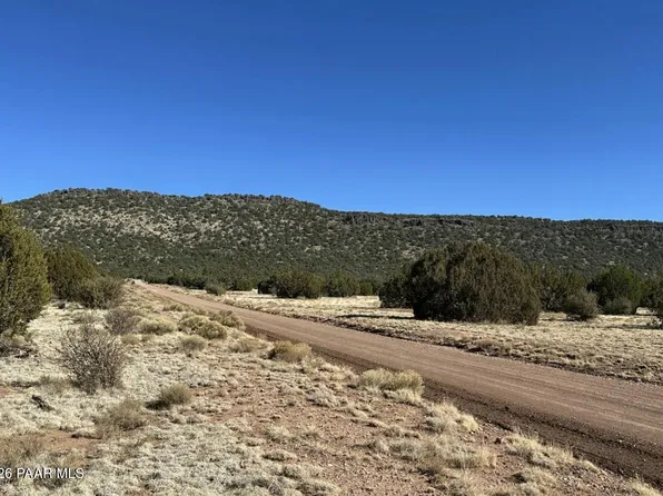 932C W Thirsty Burros Rd, Seligman, AZ 86337